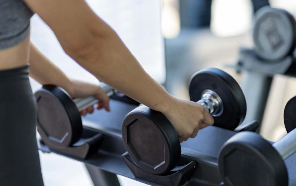 beginner arm workout